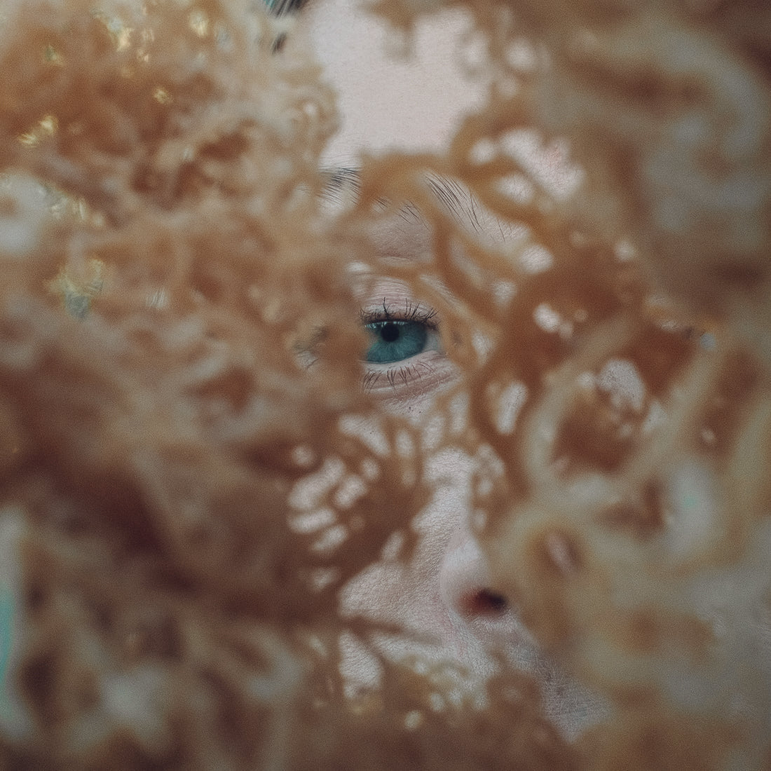 What to Know About Buying Bulk Sea Moss