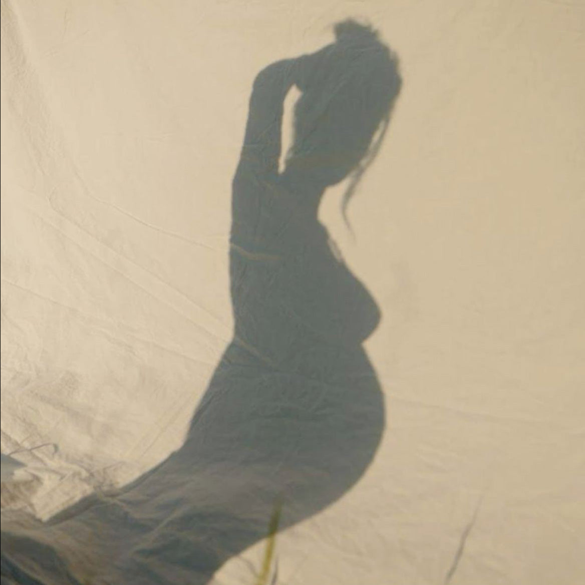 Pregnancy and Sea Moss: What You Need to Know