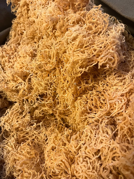 Euchema Dried Sea Moss Bulk