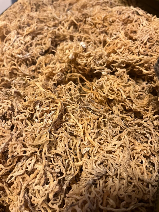 Chondrus Crispus Dried Sea Moss