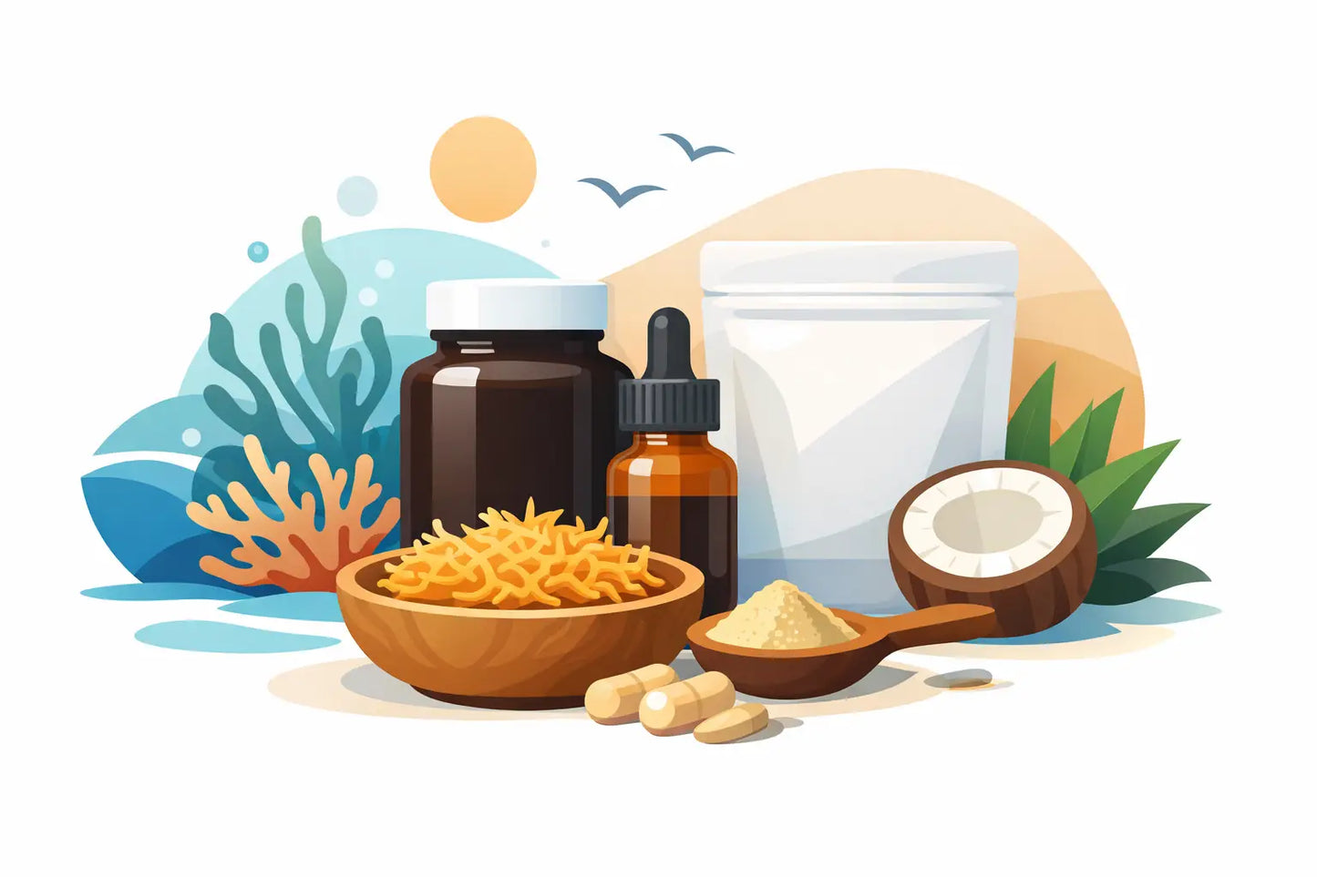 Best Sea Moss Bundle for Daily Vitality