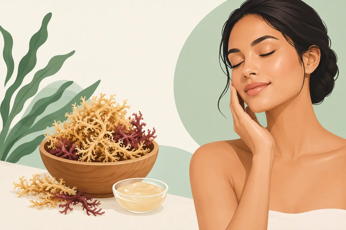 Sea Moss for Skin and a More Nourished Glow
