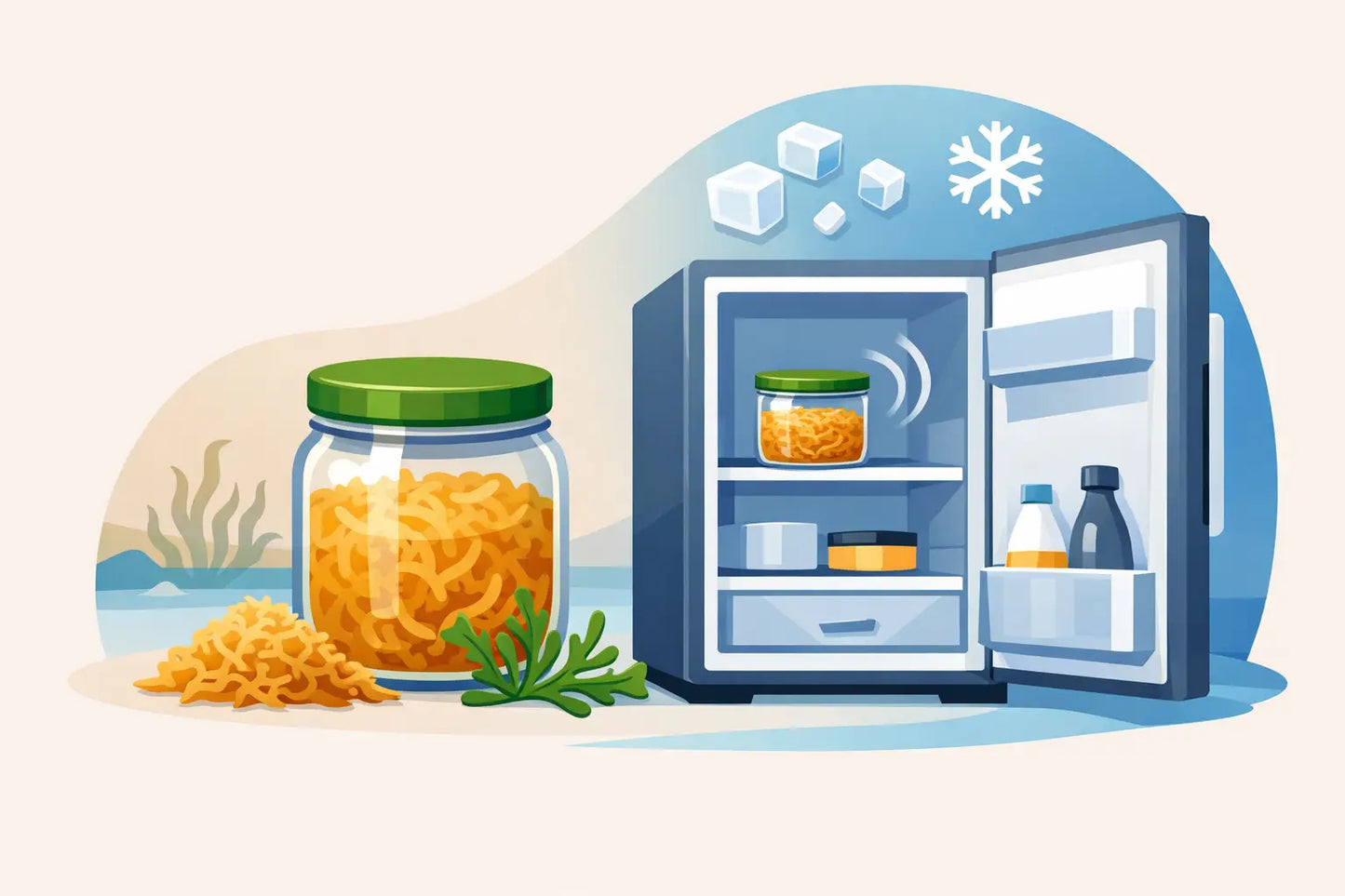 Does Sea Moss Need Refrigeration?