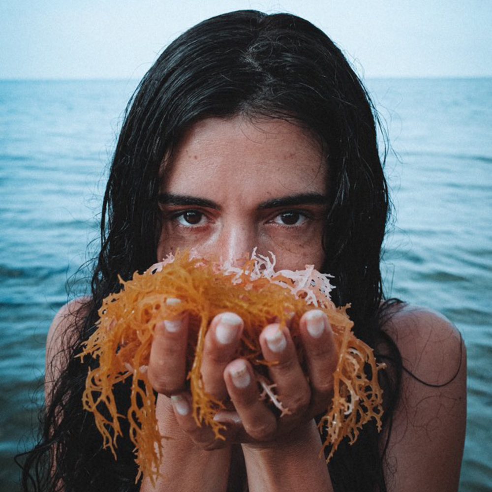 Woman holding fresh golden sea moss by the ocean, symbolizing natural wellness and vitality.