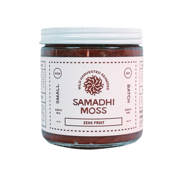 Zeus Fruit Sea Moss Gel | Blueberry Mango — Samadhi Moss